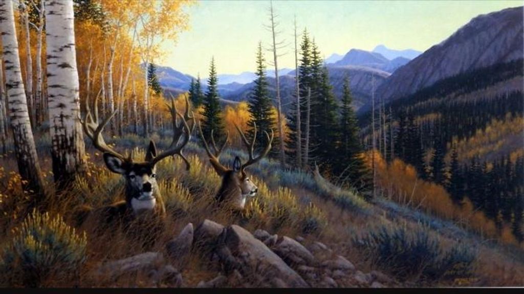 Lee Koehn Profile Photo