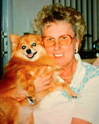 Shirley Ann Bauknecht's obituary image