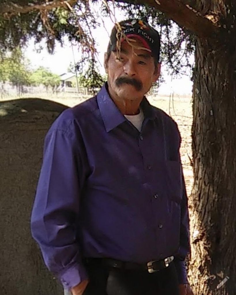 Meliton Gorostiza Profile Photo