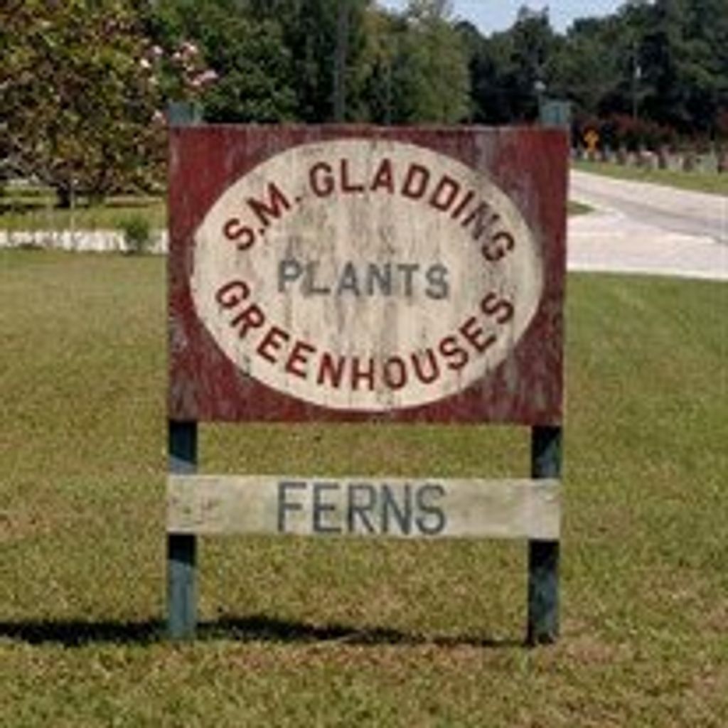 Severance  Myles Gladding