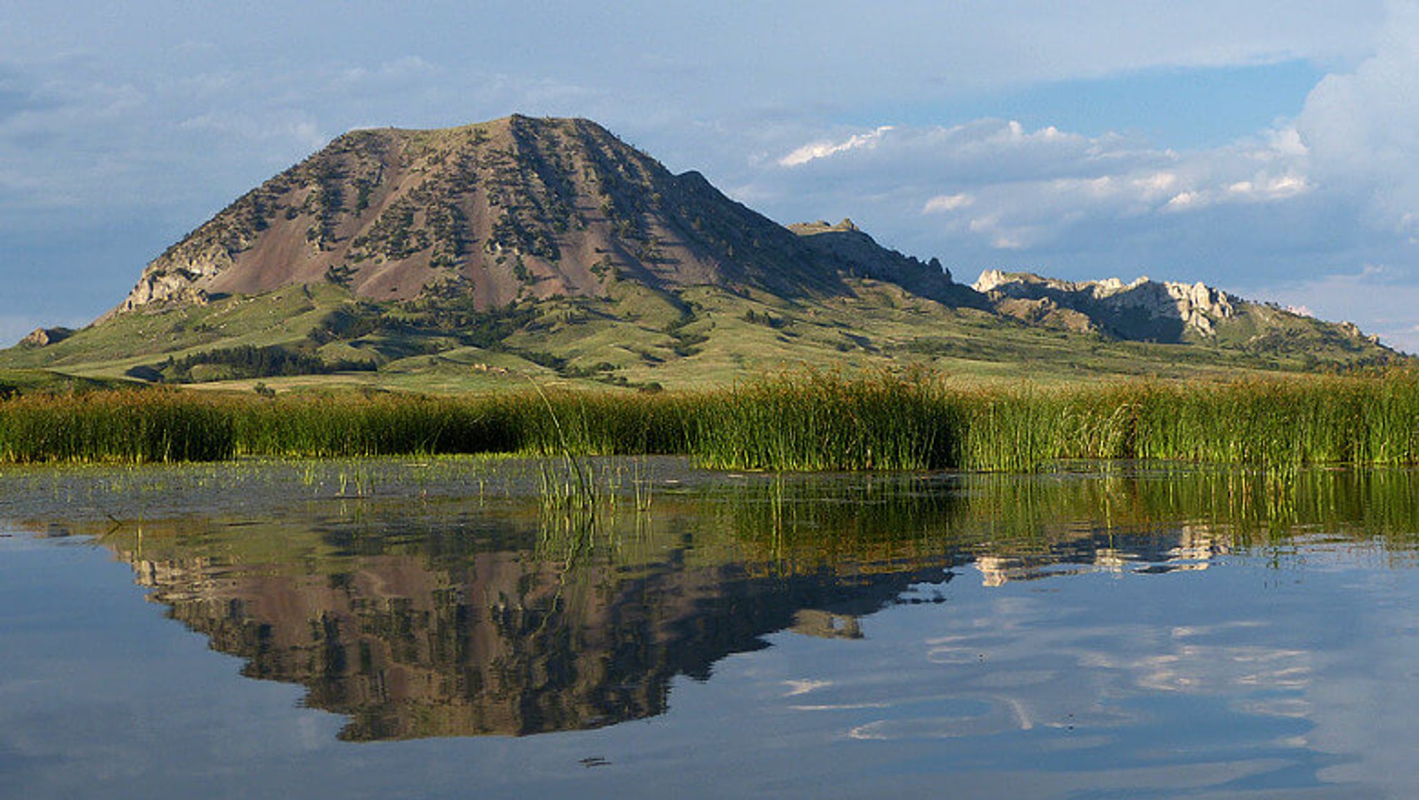 Cover for Matt Bedney's Obituary