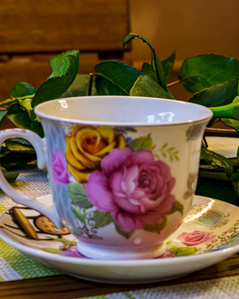 Rebecca Wollman Profile Photo