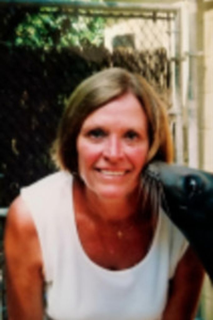 Patricia Herreman Profile Photo