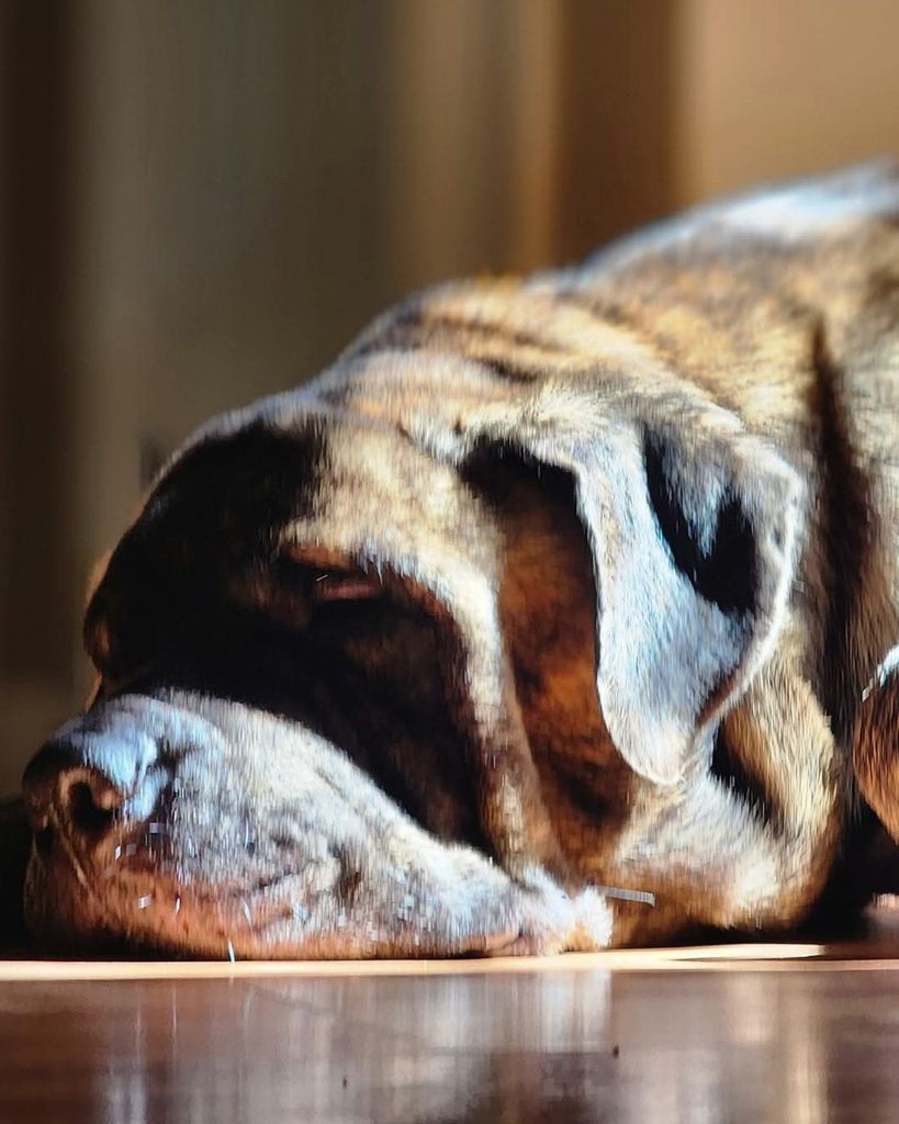 Wilson Folk Profile Photo