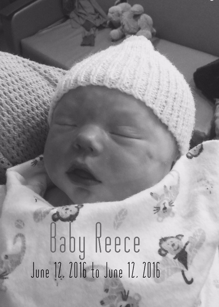 Reece Stevens Profile Photo