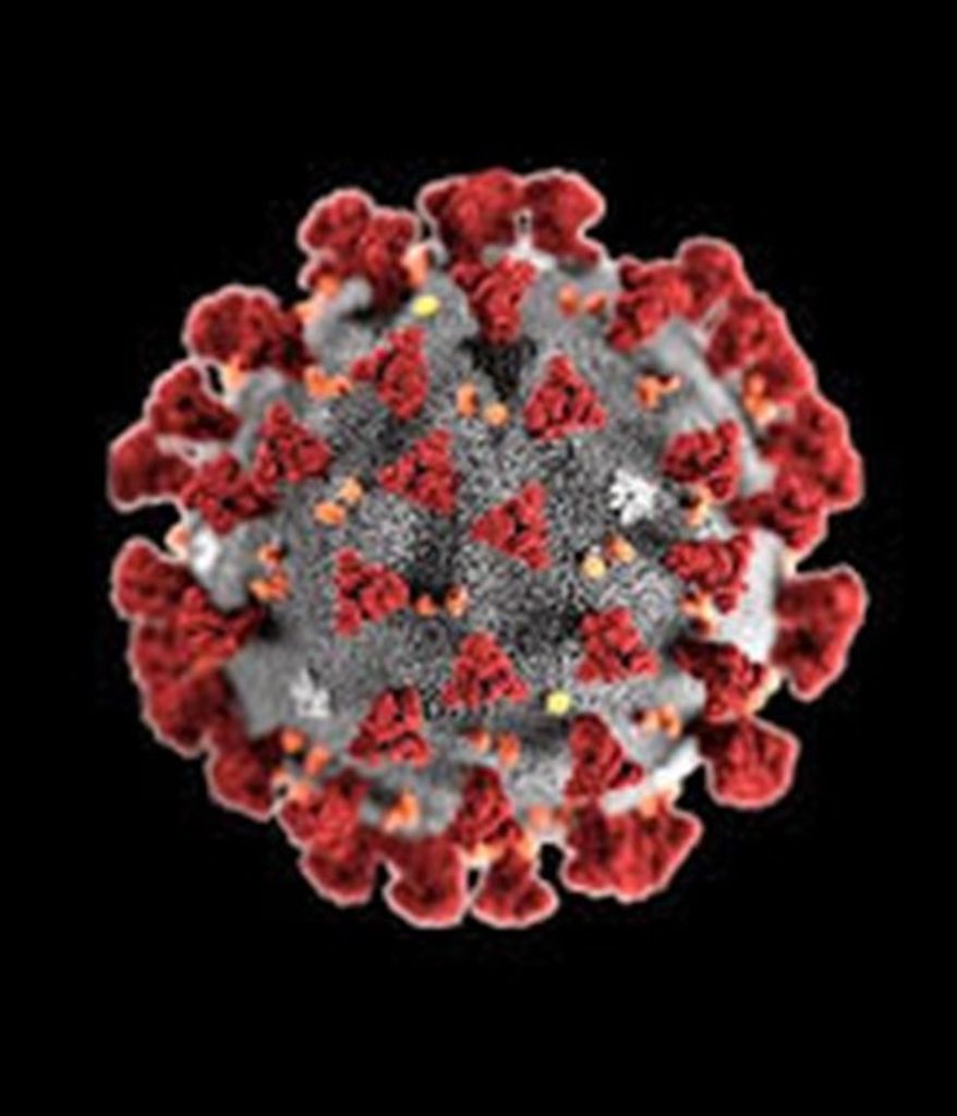 *Updated Press Release Covid-19 Pandemic Profile Photo