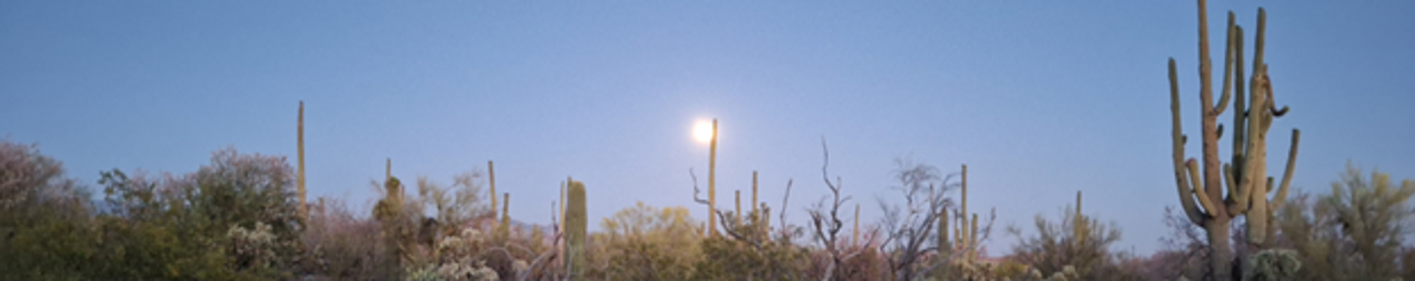 Cover for Kathleen Mary Chojnacki's Obituary