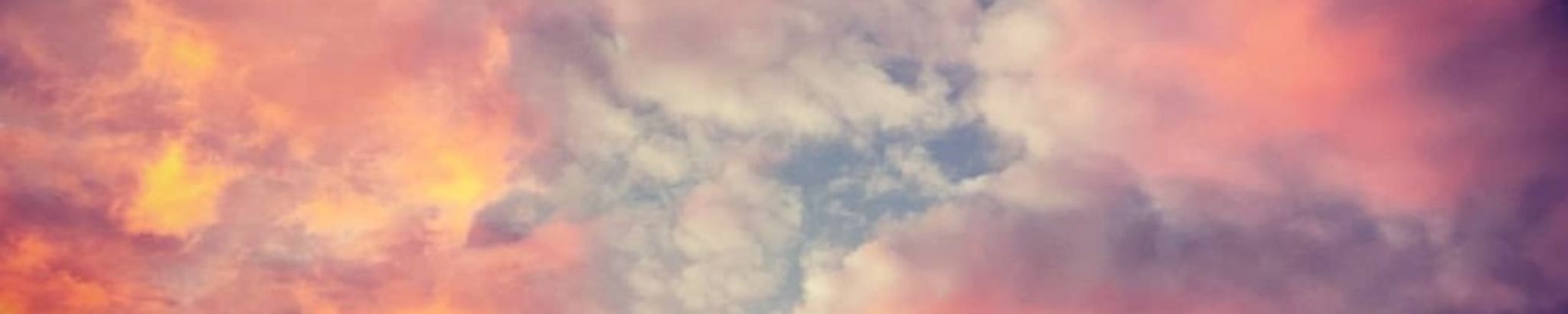 Cover for Simon Milton Walmsley's Obituary