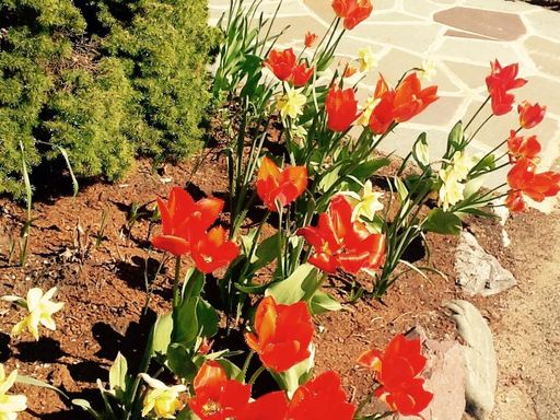 Sandra L. Stowers photo gallery thumbnail 57 of 100