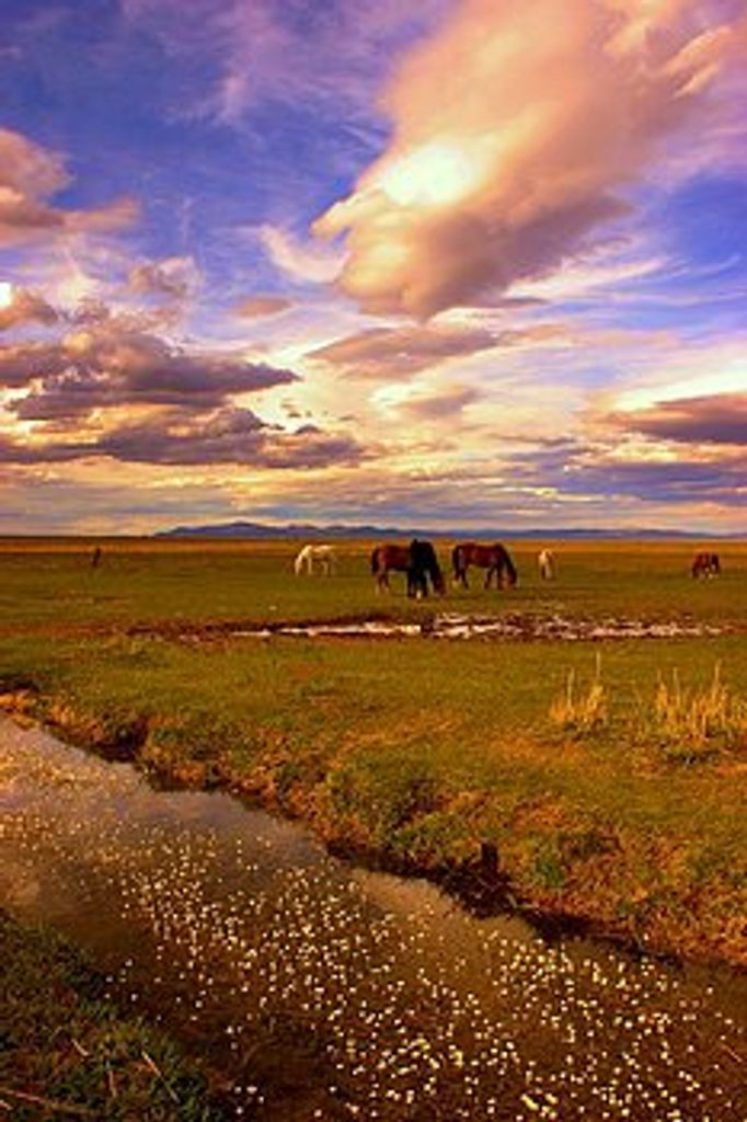 Frank Sarabia Fierro Profile Photo