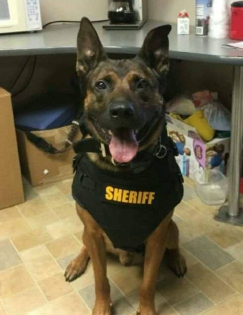 Jensen, K9 Officer Morgan County Sheriffs Department