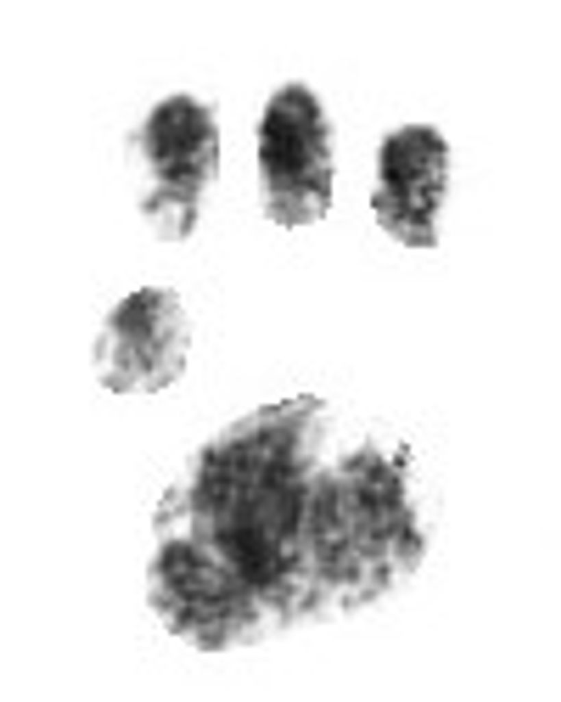 Potato Hyder Profile Photo