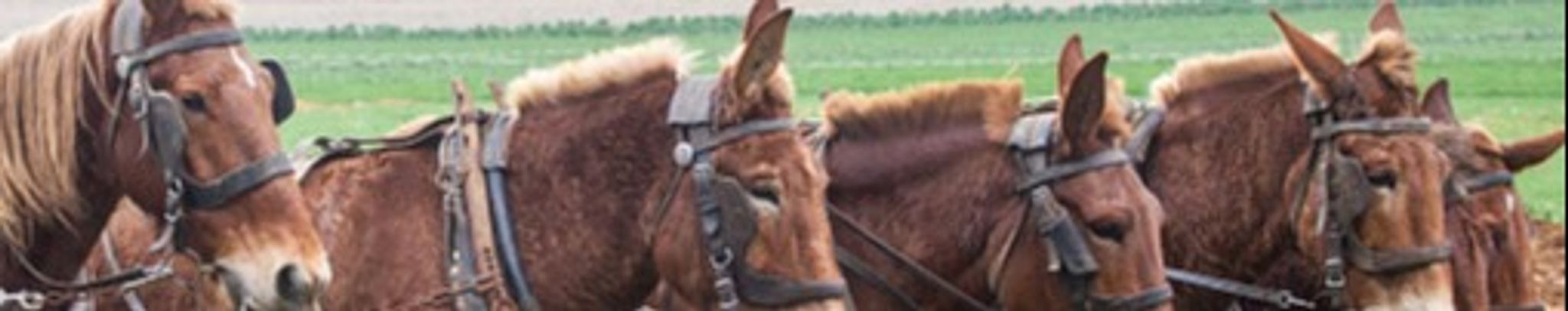 Cover for Lesley Wayne Malugin's Obituary