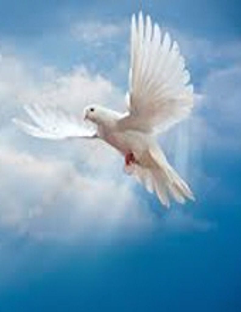 Wanda Alexander Hart