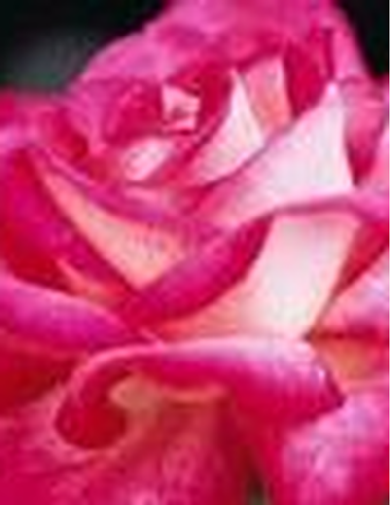 Mary Magdalene Wilson Brooks