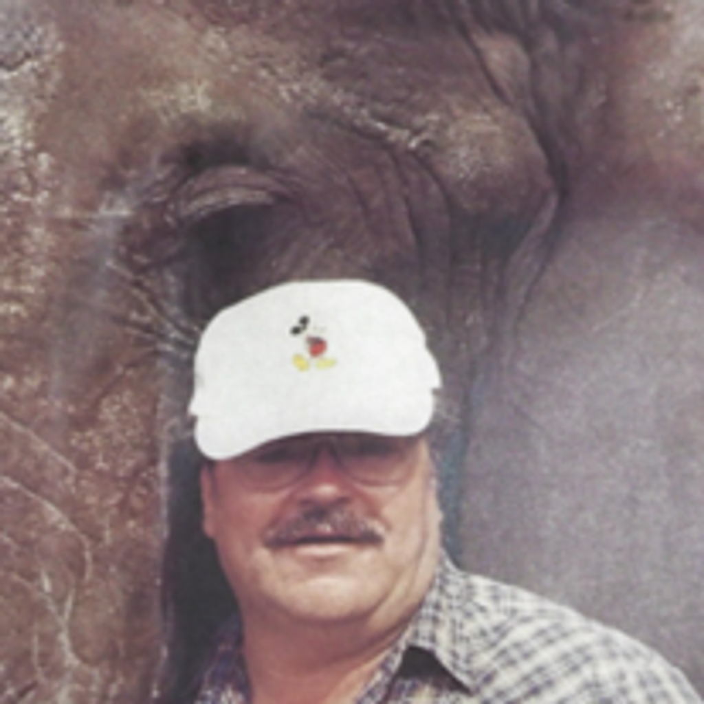 Melvin Harry Timberlake Jr. Profile Photo