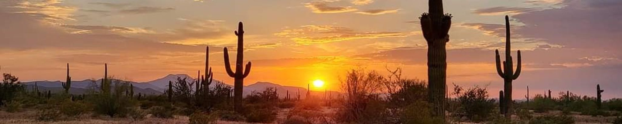 Cover for Michael E Cummins's Obituary