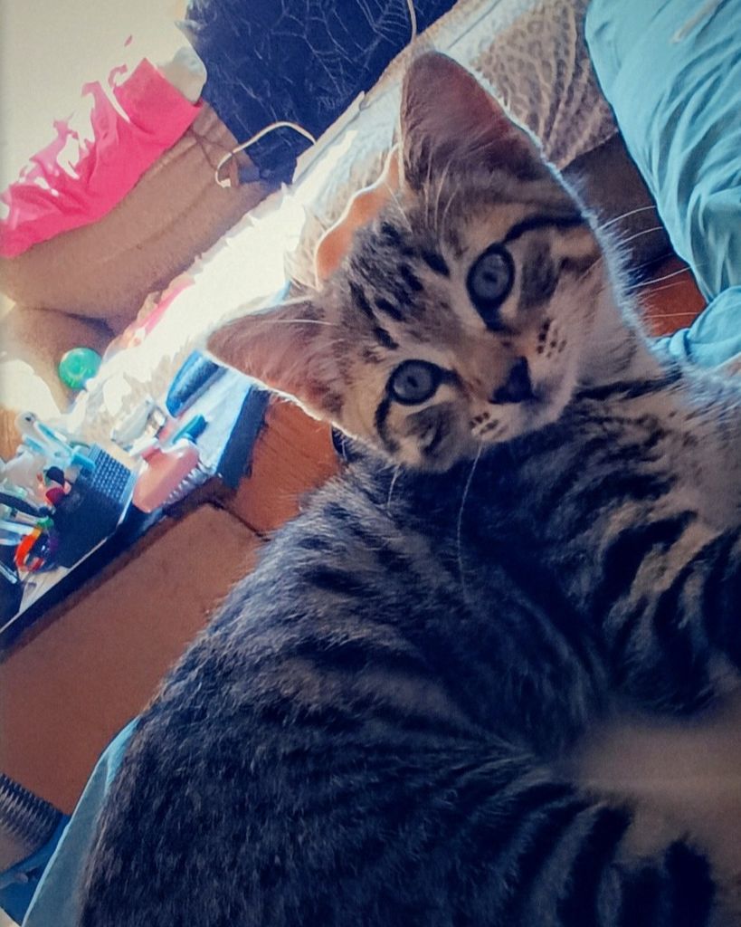 Toodles Turner