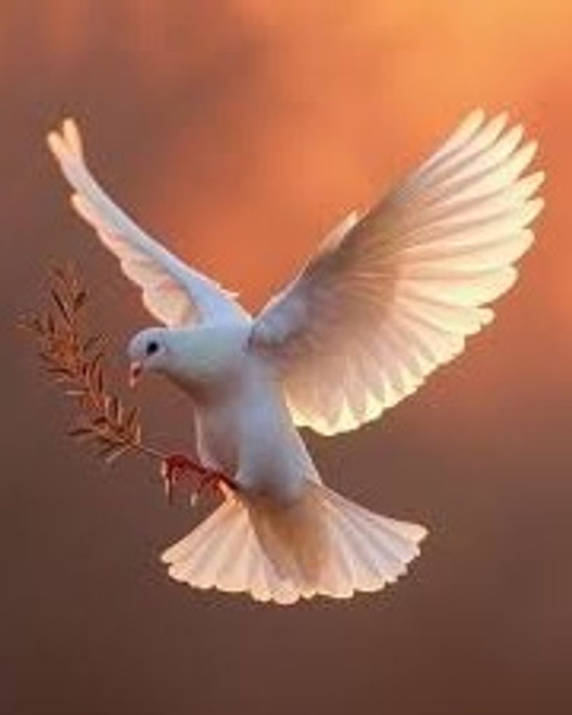 Sally Ann Hofius Profile Photo