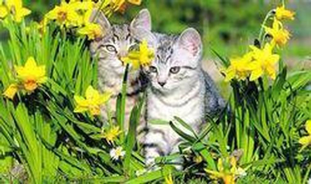 Betty J. Seufert Profile Photo