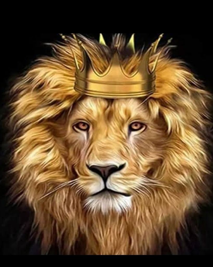 Karl Leister Profile Photo