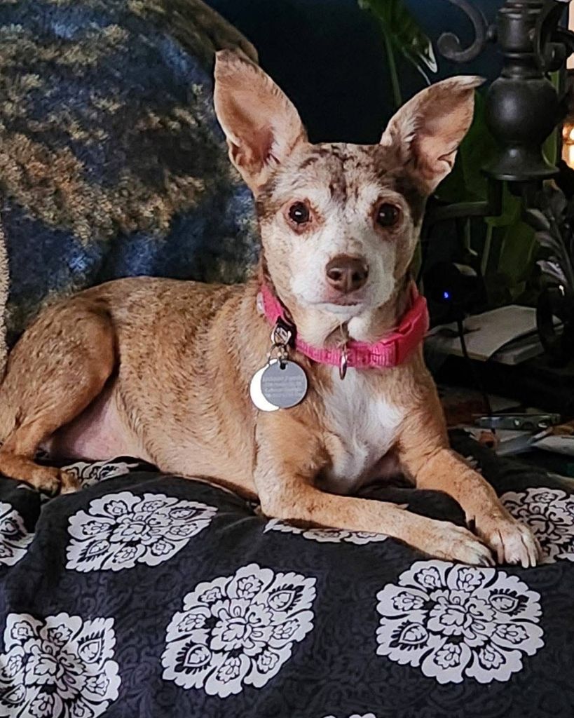 Sadie (Grant) Jackson Profile Photo