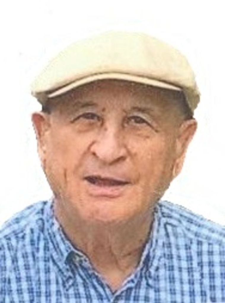 Mario D. Lorenzini