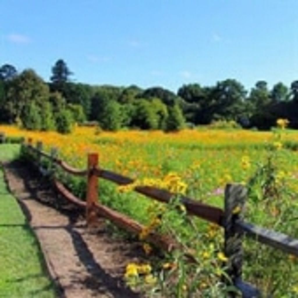 Reginald Ray Ferebee