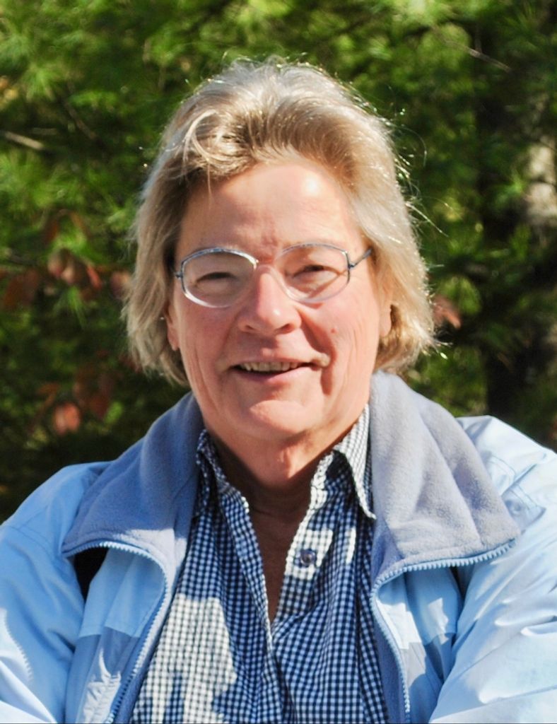 Christine Healey Profile Photo