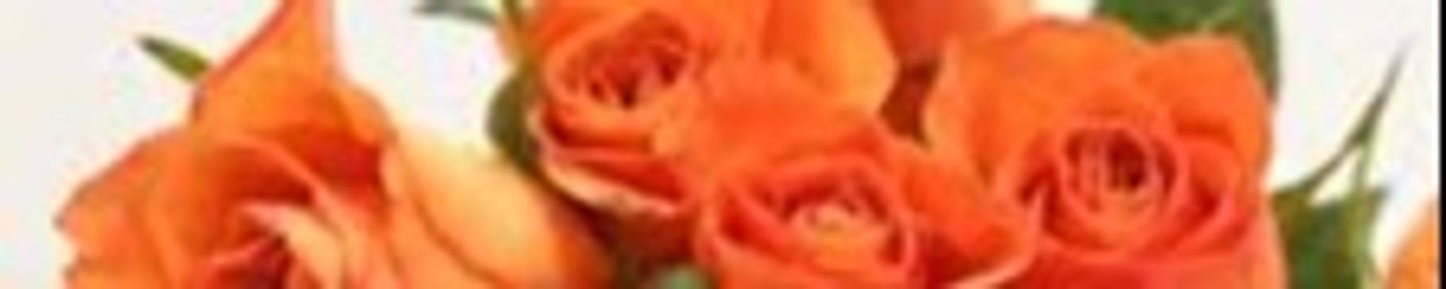 Cover photo for Teresa Diane Tidwell's Obituary
