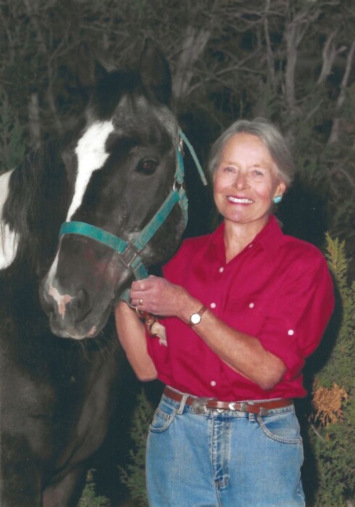 Jeri Eckhardt Profile Photo