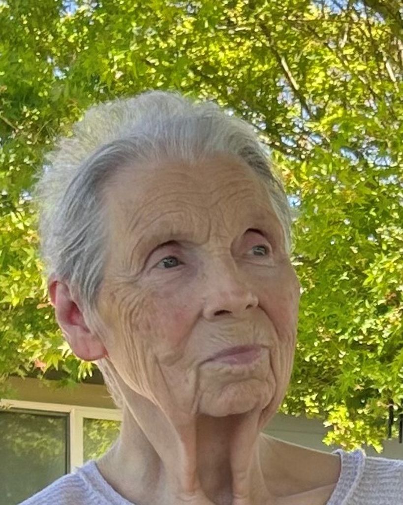 Dottie Terry