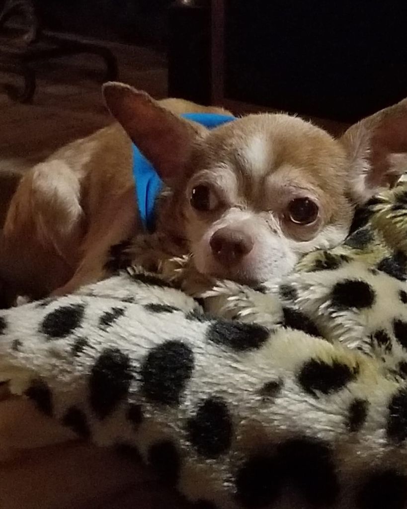 Martini ♥ Profile Photo