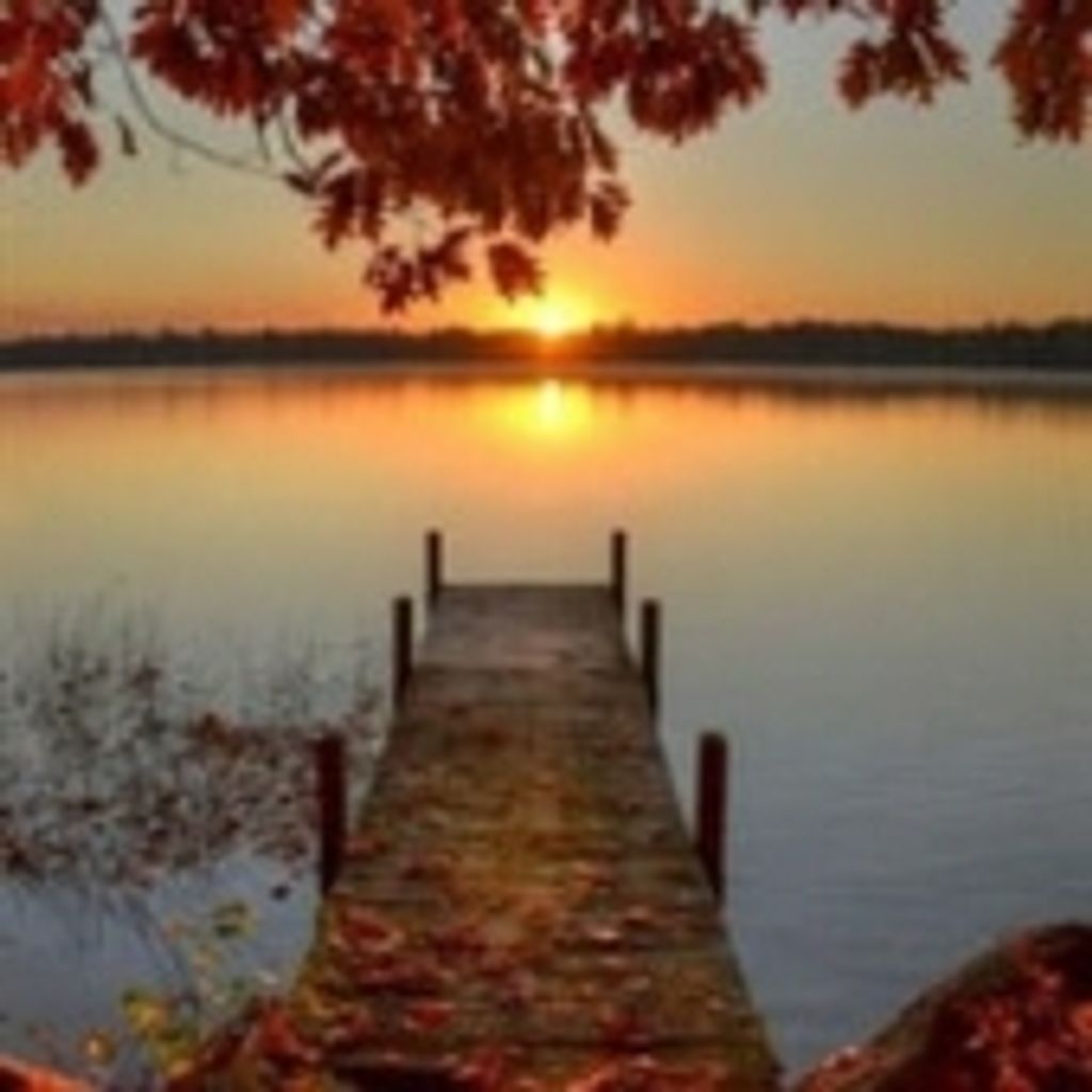 Jacqueline Cecile Denis-Fish