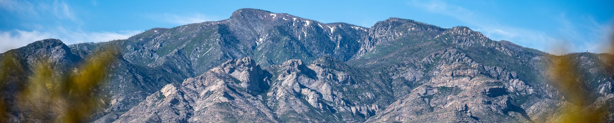 Cover for Chad Steven Williams's Obituary