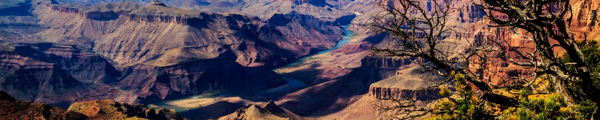 Cover for Hamilton B. Brown's Obituary