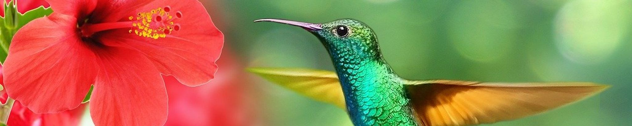 Cover for Shirley Jeane Risse's Obituary