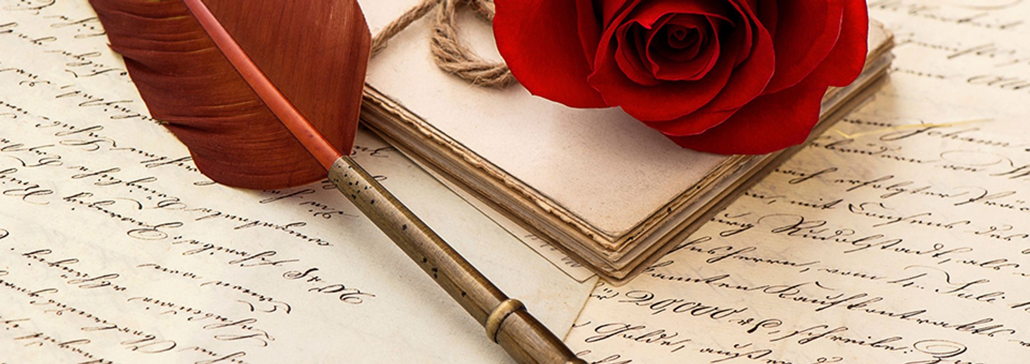 Cover photo for Sylvia Marriane Newman's Obituary