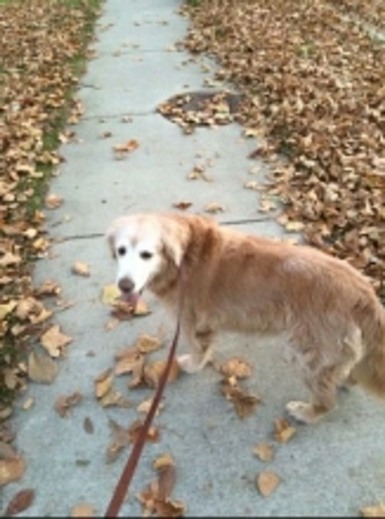 Loofa Dunn Profile Photo