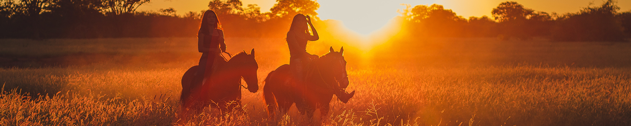 Cover for Diane M. Phelps's Obituary