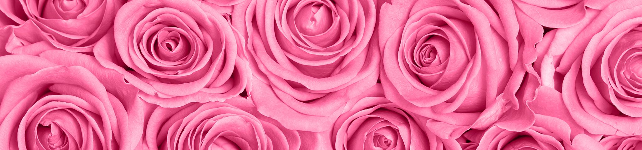 Cover photo for Judy Ann Ellender's Obituary
