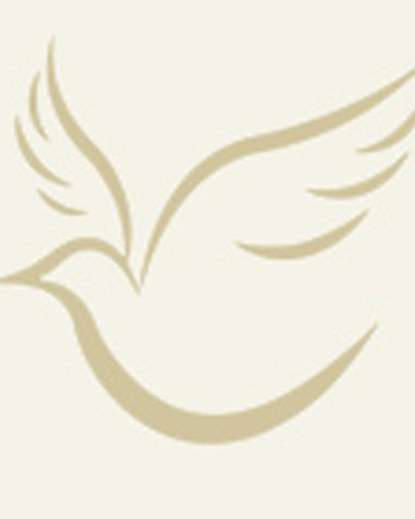 Joel Lunz Profile Photo