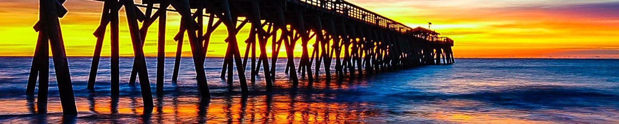 Cover for Janet Elizabeth Hargrove's Obituary