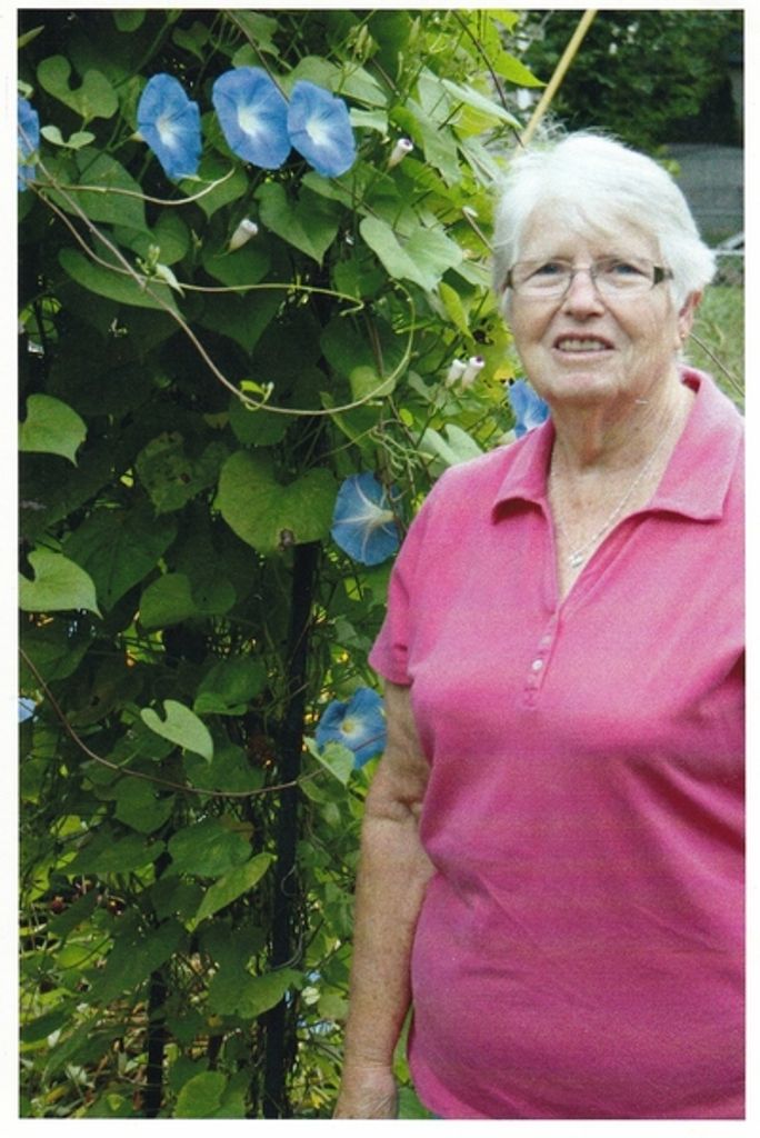 Joann M. Daluge Profile Photo