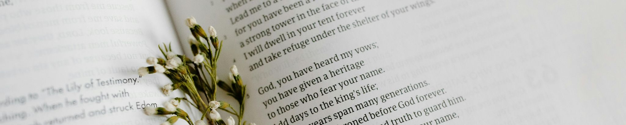 Cover for Tommi Rhoda Halvorsen Gatlin's Obituary