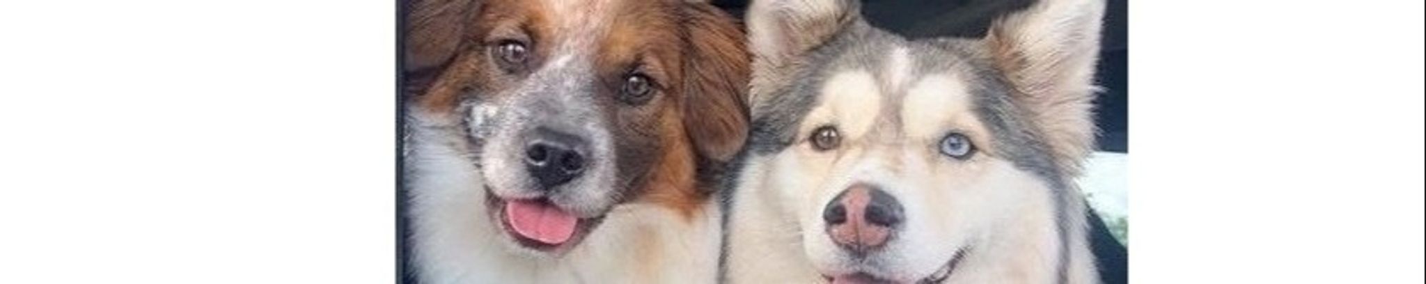 Cover for Leslie Fontaine's Obituary