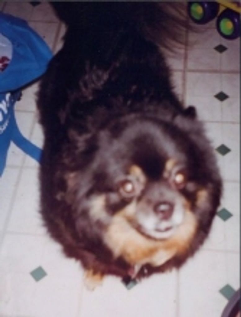 Treasure Lee Rankin Profile Photo