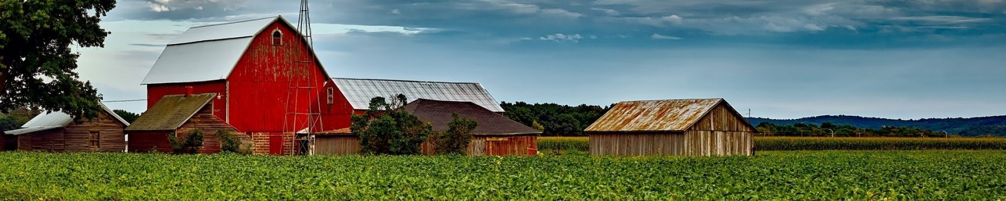 Cover for Theodore Van Milligan Jr.'s Obituary