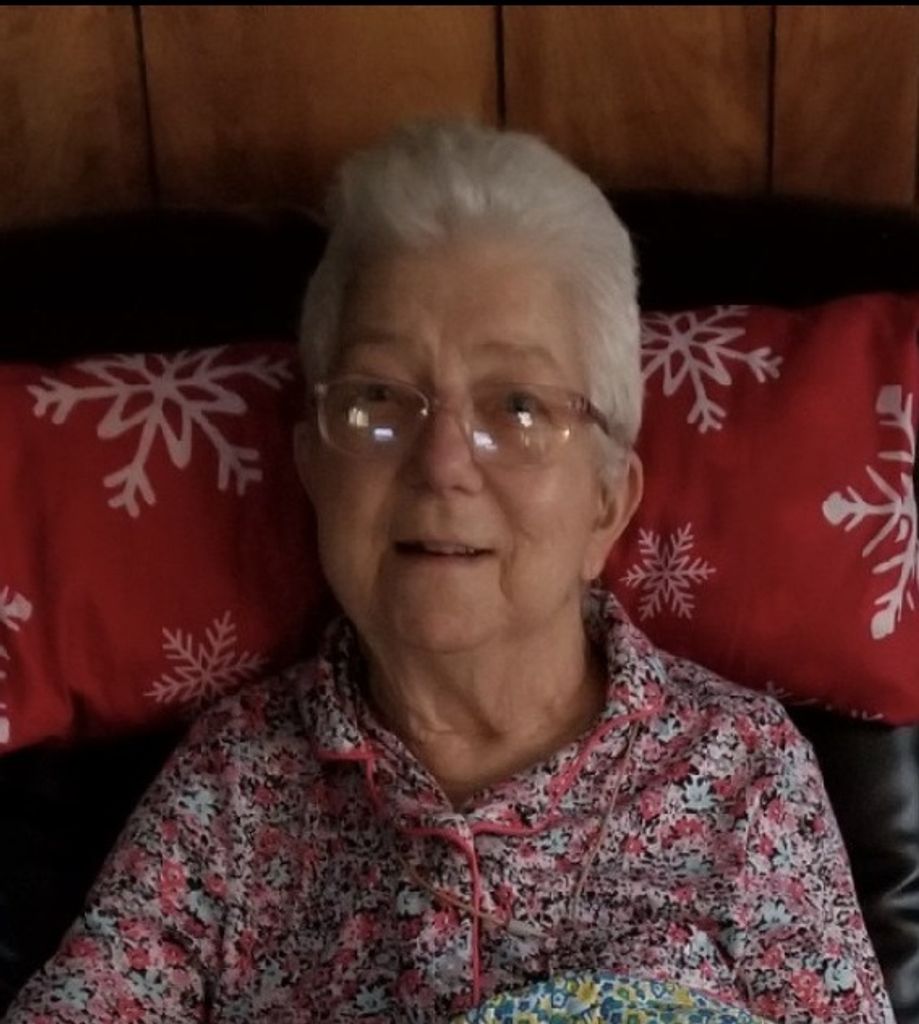 Sally Ann (Mills)  Napier Profile Photo