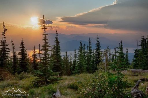 Stephen Glent Petersen photo gallery thumbnail 16 of 39